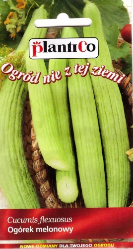 ogórek-melonowy-fegouz.webp