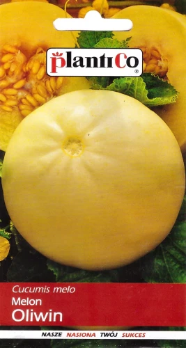 melon-oliwin.webp
