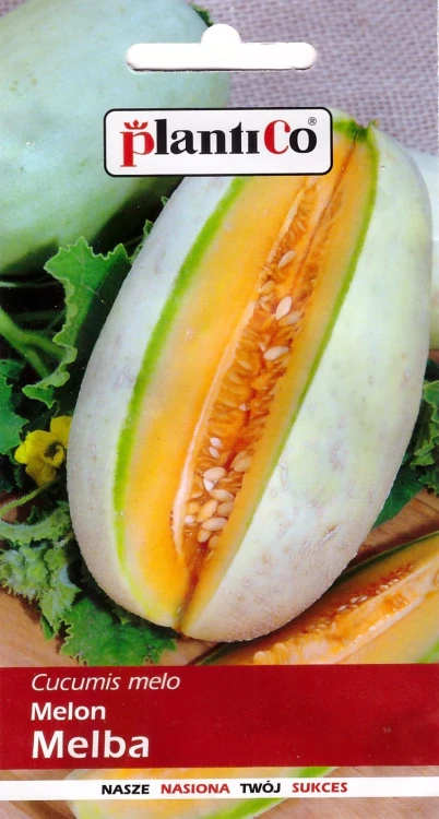 melon-melba.webp