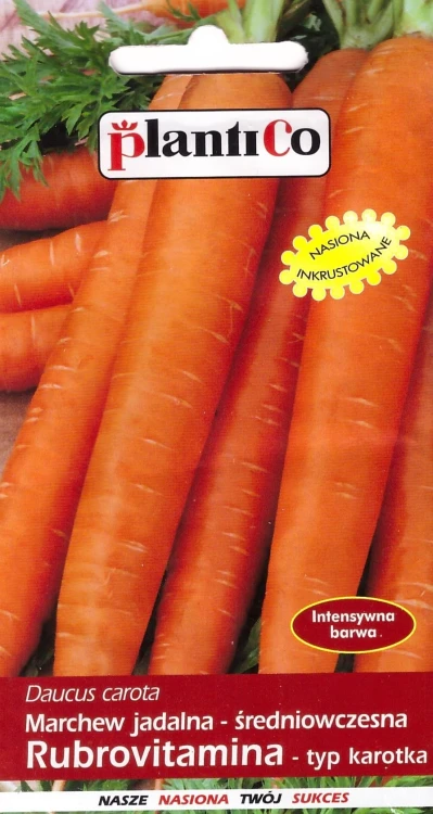 marchew-rubrovitamina.webp