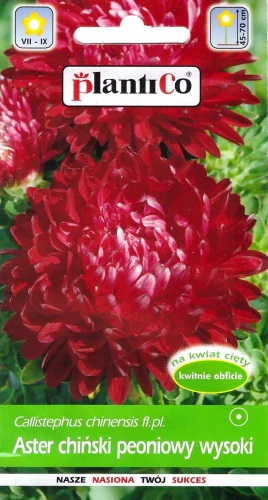 aster-chiński-peoniowy-wysoki-czerwony.webp