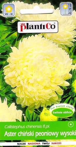 aster-chiński-peoniowy-wysoki-żółty.webp