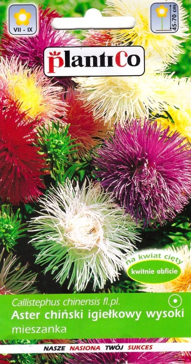 aster-igiełkowy-mieszanka.webp