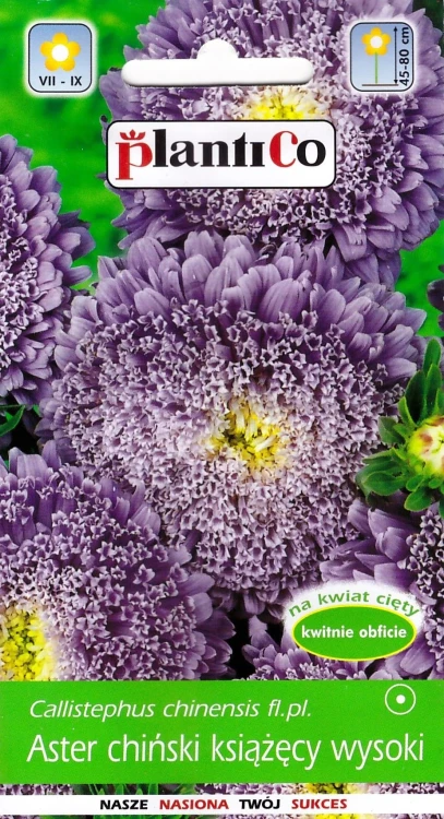 aster-książęcy-fioletowy.webp