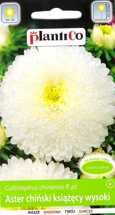 aster-książęcy-biały.webp