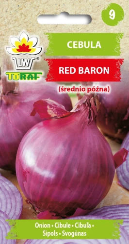 Cebula-RED-BARON.webp