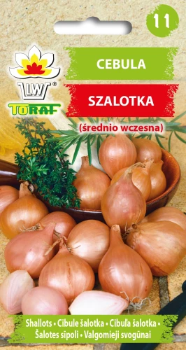 Cebula-Szalotka.webp