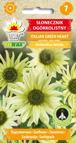 Słonecznik-ogórkolistny-ITALIAN-GREEN-HEART-.webp
