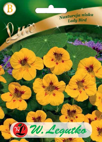 Nasturcja-niska-Lady-Bird.webp