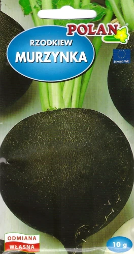 rzodkiew-murzynka.webp