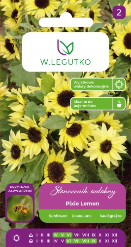 Słonecznik-Pixie-Lemon.webp
