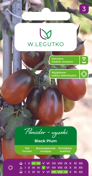 pomidor-black-plum.webp
