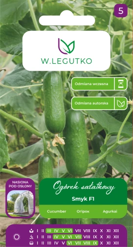 ogórek-smyk.webp