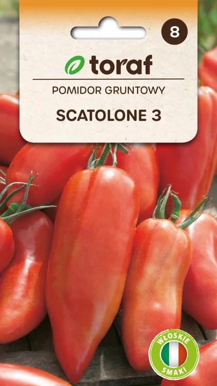 Pomidor-gruntowy-SCATOLONE-3.webp