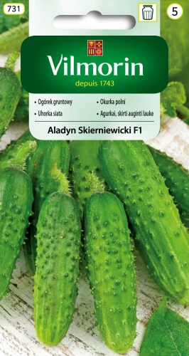 ogórek-aladyn-skierniewicki.webp