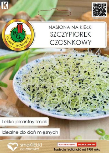 Szczypiorek czosnkowy.JPG