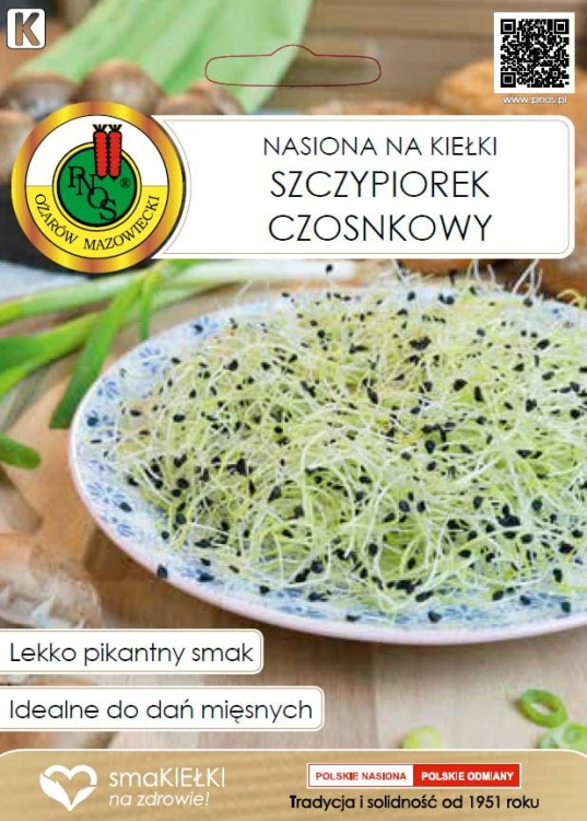 Szczypiorek czosnkowy.JPG