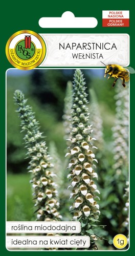 naparstnica welnista.jpg