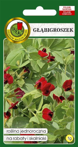 glabigroszek.jpg