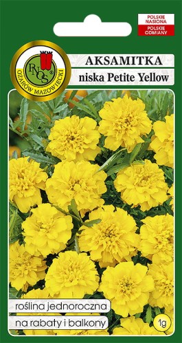 aksamitka niska petite yellow.jpg