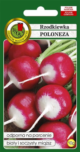 rzodkiewka poloneza.jpg