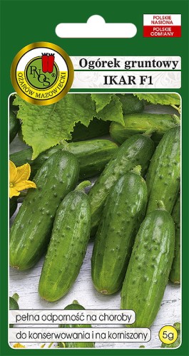 ogorek ikar.jpg