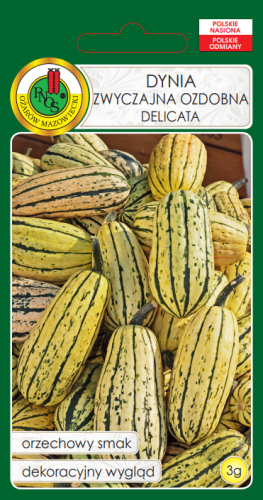 dynia delicata.png