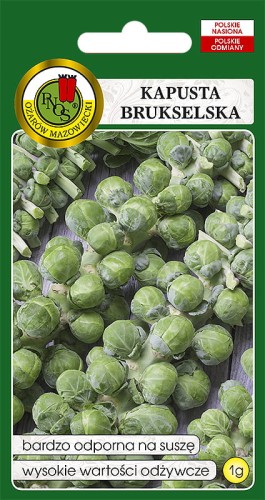 kapusta long island.jpg