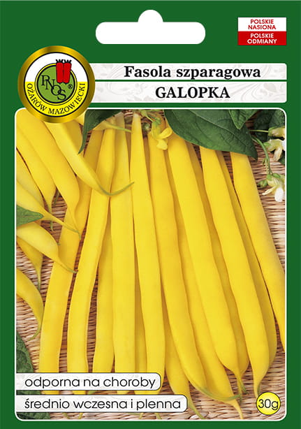 fasola galopka.jpg