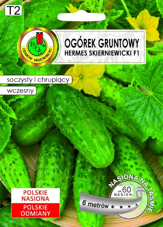 OGÓREK GRUNTOWY HERMES SKIERNIEWICKI.jpg