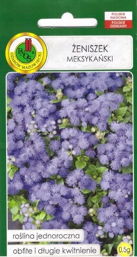 żeniszek modro fioletowy.jpg