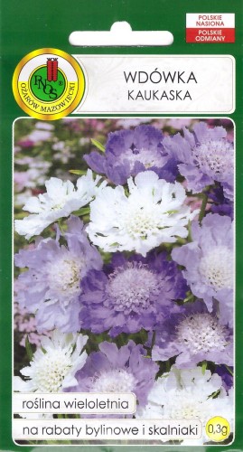 wdówka kaukaska.jpg