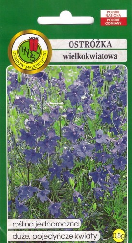 ostróżka wielkokwiatowa niebieska.jpg