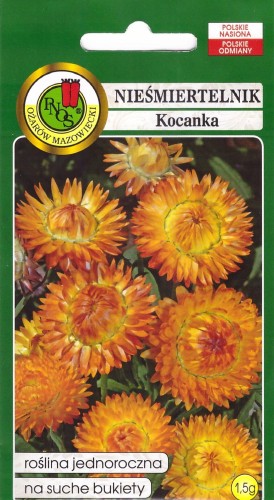 nieśmiertelnik miedziano-pomarańćzowy.jpg