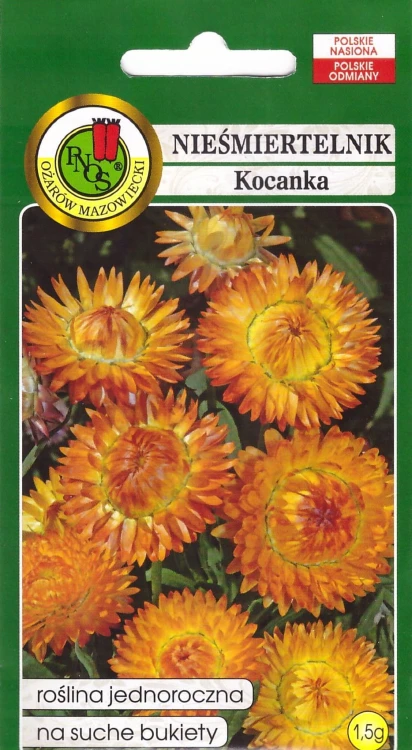 nieśmiertelnik miedziano-pomarańćzowy.jpg