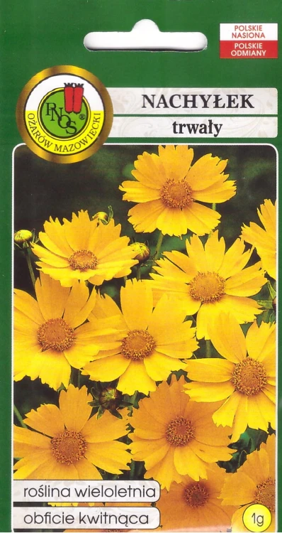 nachyłek trwały.jpg