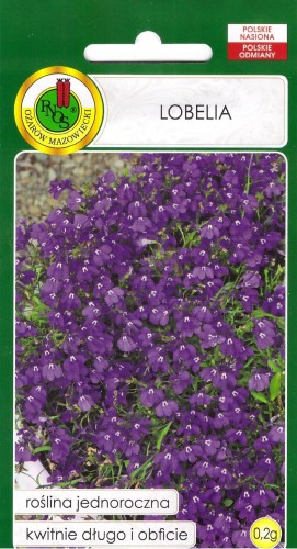 lobelia fioletowa.jpg