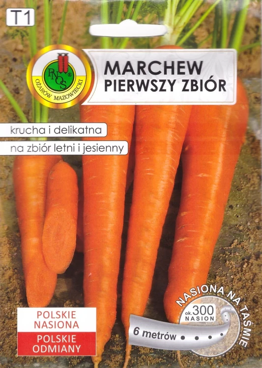 marchew pierwszy zbiór na taśmie.jpg
