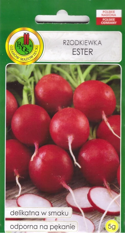 rzodkiewka ester.jpg