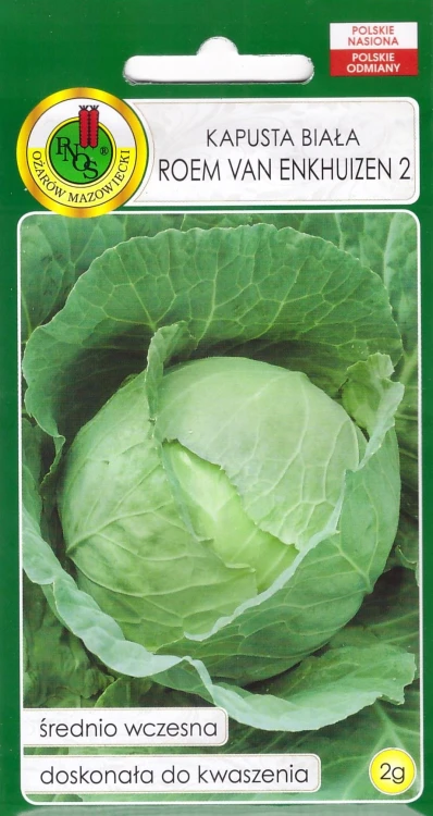 kapusta roem van enkhuizen.jpg