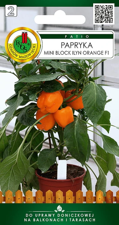 papryczka mini block ilyn orange.jpg