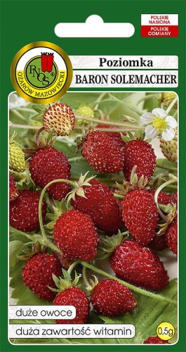 poziomka baron solemacher.jpg