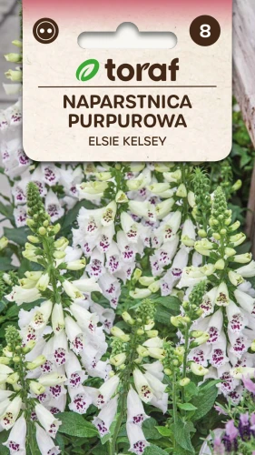 Naparstnica-purpurowa-ELSIE-KELSEY.webp