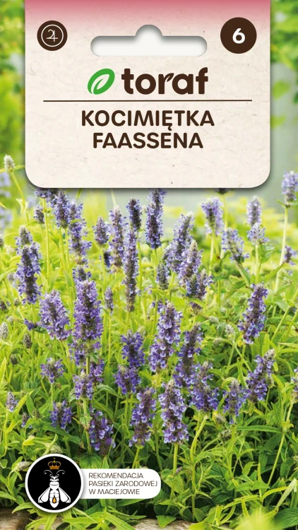 Kocimiętka-FASSENA.webp