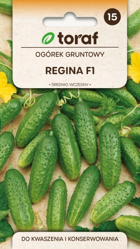 Ogórek-REGINA-F1.webp