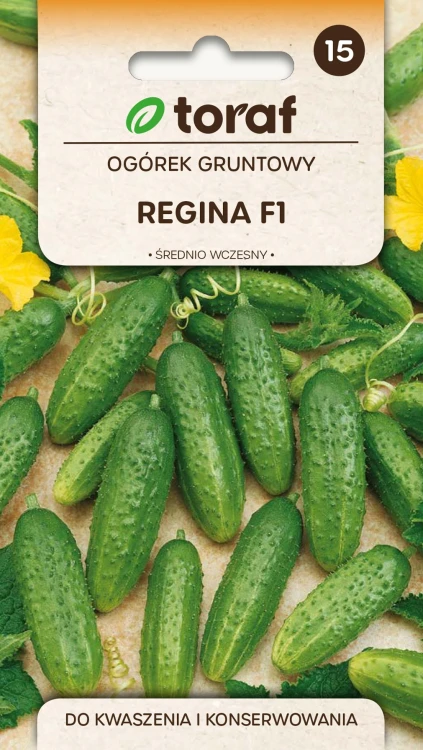 Ogórek-REGINA-F1.webp