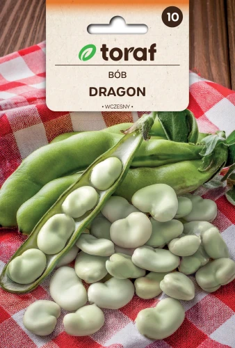 Bób-DRAGON.webp