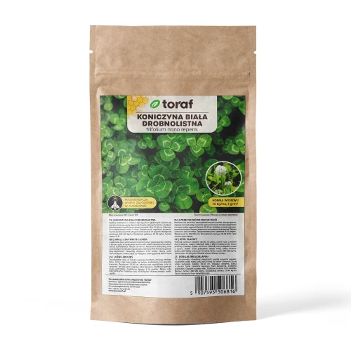 Koniczyna-biała-drobnolistna.webp