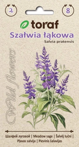 Szałwia-łąkowa.webp
