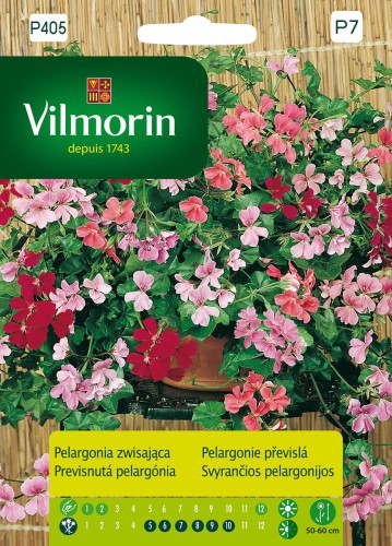 pelargonia zwisająca mix.jpg